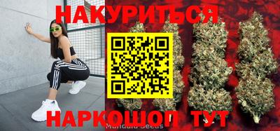 ешки Аргун