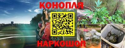 гидра Апрелевка